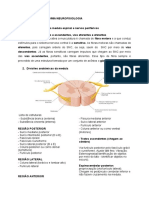 Resumo Neuroanato e Neurofisio