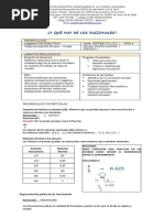 Guia 4 Septimo Racionales