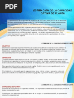 PIN - Presentacion Nº3 - ESTIMACIÓN DE LA CAPACIDAD OPTIMA DE PLANTA