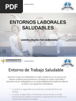 Entornos Laborales Saludables