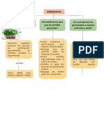 Qué Son Los Germinados o Brotes
