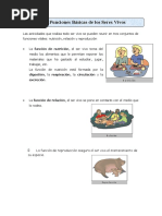 Tarea Ciencia y Ambiente Sistema Digestivo