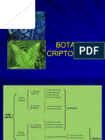 CRIPTOGAMAS 1 de DR Dante Choquehuanca Panclas