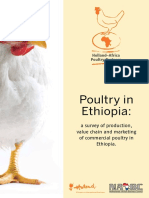 Poultry in Ethiopia:: A Survey of Production, Value Chain and Marketing of Commercial Poultry in Ethiopia