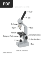 Partes Del Microscopio