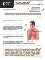 El Proceso de Respiracion Junio 9 Al 11 Grado Quinto