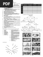 General Biology 2 Reproductive System