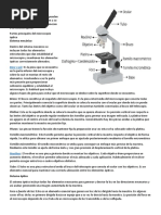 Partes Del Microscopio