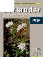 Coriandrum Sativum L.: Coriander