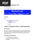 RBCL Competent Cell (E. Coli) Preparation