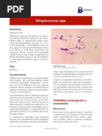 Streptococcus SPP - Año 2019 PDF