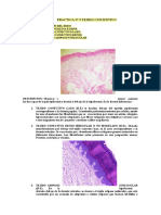 Practica #3 Tejido Conjuntivo