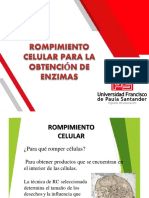 14.04 Rompimiento Celular para La Obtención de Enzimas PDF