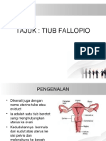 Fallopian Tube