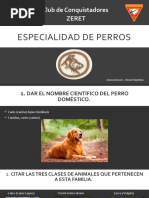 Especialidad de PERROS