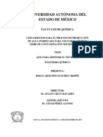 LINEAMIENTOS PARA EL PROCESO DE PRODUCCIÓN Agua Purificada para Farm Libre de Contaminacion Microbiologica PDF