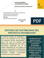 Infografia-Proyecto Picomachay-Grupo 4