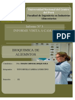 Informe Visita A Camal