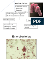 E Coli