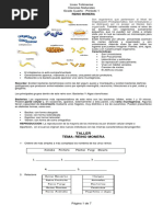 Taller 1 Pariodo Grado Cuarto