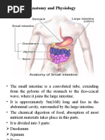 Anatomy and Physiology