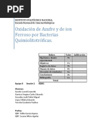 Quimiolitotrofía