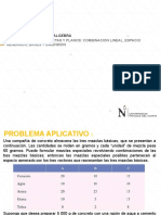 S10-Combinacion Lineal