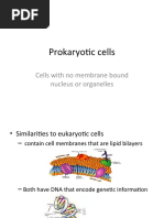 Prokaryotic Cells Power Point