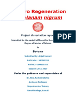 In Vitro Regeneration of Solanam Nigrum Ranchi University Botney