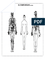 El Cuerpo Humano Sin Nombres