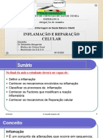 Aula 3. Inflamacao e Reparacao