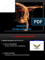 Clase3 Osteomioart