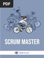 Scrum Master Spanish