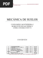 Mec. Suelo Informe Revisión 5