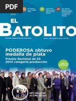 Batolito 40