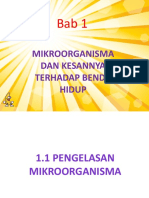 Bab 1 Mikroorganisma Dan Kesannya