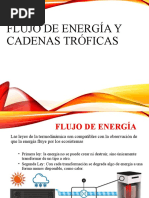 Flujo de Energía y Cadenas Alimentarias