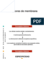 Receptores de Membrana PDF