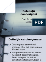 Curs 3 (Poluanti Cancerigeni)