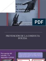 Intervenciones Integrales Suicidio