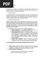 Derecho Procesal Penal Resumen Maytte