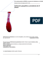 Biologia de Echinococcus Granulosus PDF