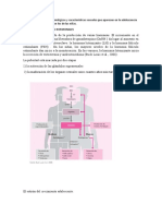 Los Principales Cambios Fisiológicos y Características Sexuales Que Aparecen en La Adolescencia para Niños en Contraste Con Los de Las Niñas