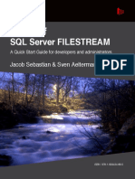 Art of Ss Filestream PDF