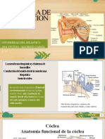 Fisiologia de La Audicion