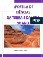 Apostila CTV 9º Ano PDF