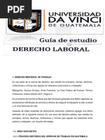 Guía Derecho Laboral