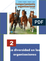 2 La Diversidad en Las Organizaciones