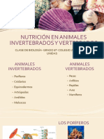 Nutrición en Animales Invertebrados Y Vertebrados: Clase de Biología-Grado 6° - Colegio Juventudes Unidas