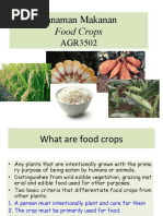 Tanaman Makanan: Food Crops